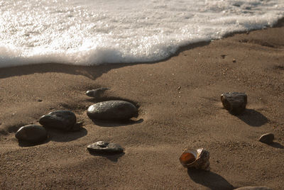 High angle view of pebbles on shore at beach