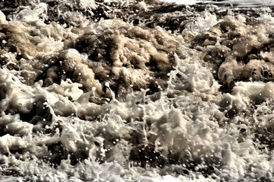 Full frame shot of coral in sea