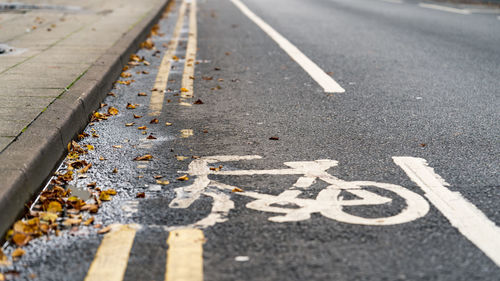 Bicycle lane sign painted on road