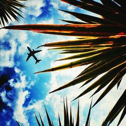 Low angle view of palm trees against cloudy sky