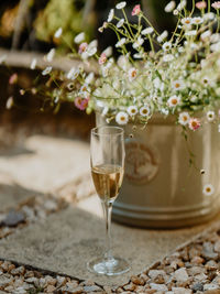 Close-up of champagne flute on ground in front of  summer flowers.