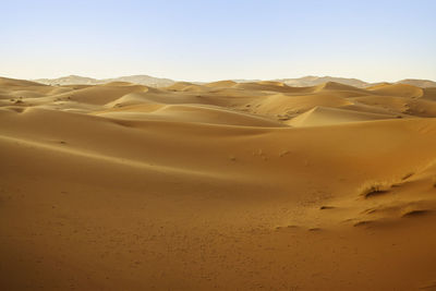 Sahara desert landscape in morocco, africa. sand dunes of this mythical arabic desert gold.