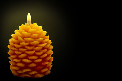 Close-up of yellow flower against black background