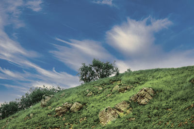 sky