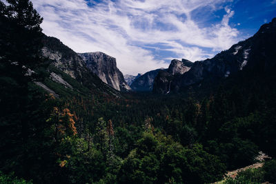 Trees growing amidst mountains against sky