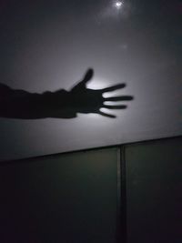 Close-up of silhouette hand against sky at night