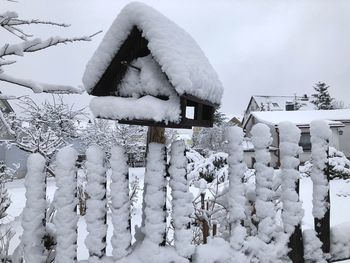 Snow covered trees on field against building