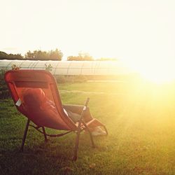 Empty bench on grassy field