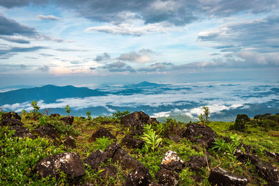 Scenic view of landscape against sky