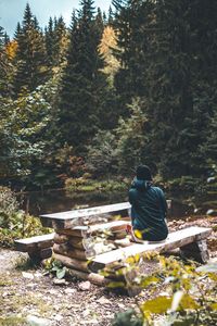 Rear view of a young woman sitting on a forest