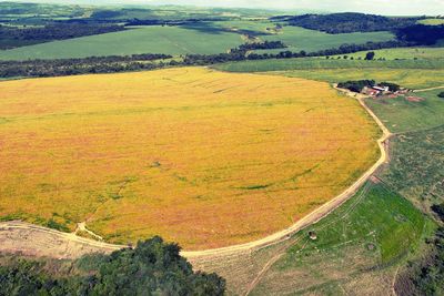 Panoramic view of agriculture field. rural and countryside scene. great landscape.