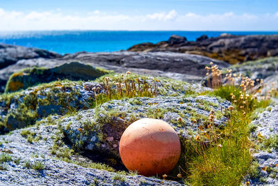 Close-up of stone wall by sea against sky