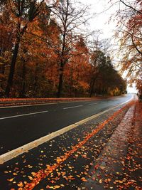 Road amidst trees during autumn