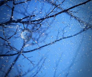 Bare trees on snow covered landscape