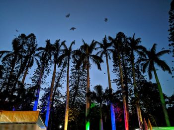 Low angle view of coconut palm trees against blue sky