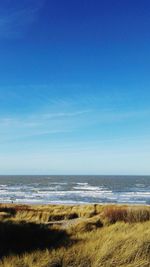 Scenic view of beach against blue sky