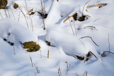 High angle view of snow covered field