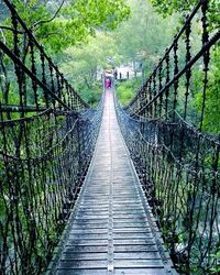 Narrow walkway along trees in park