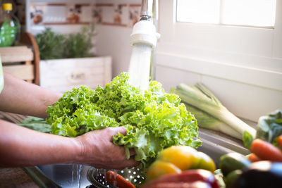 Cropped image of hand washing vegetables in kitchen