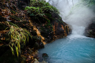 Scenic view of waterfall