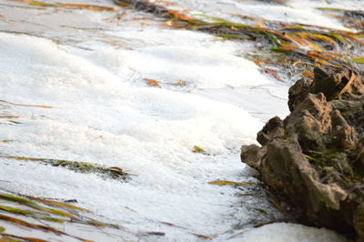 Close-up of river