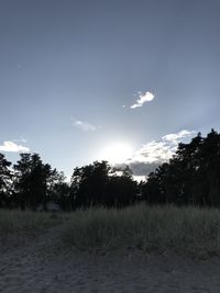 Trees on field against sky