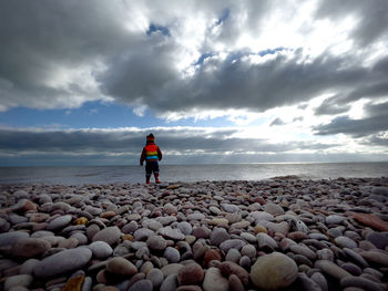 Rear view of person standing on beach