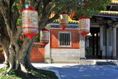 Lantern by tree