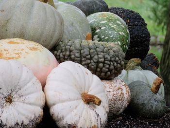 Close-up of fruits for sale in market