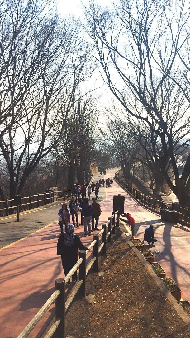 PEOPLE SITTING ON PARK BENCH BY BARE TREES IN CITY