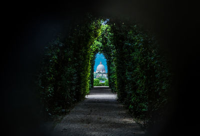 Archway amidst trees
