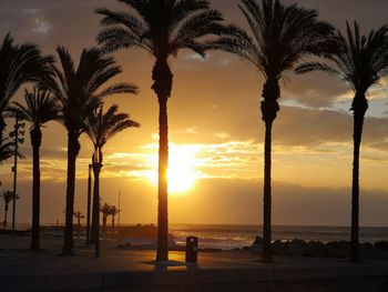 Silhouette palm trees by swimming pool against sky during sunset