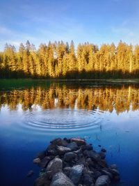 Scenic view of lake in forest against blue sky