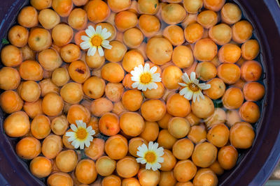 Daisies on apricots. organic apricots are washed. apricots washed with clear water.