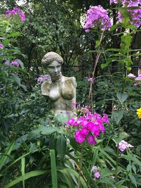 Statue of flowering plants in park