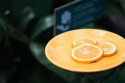 Close-up of orange fruit