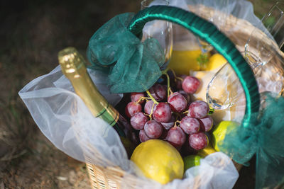 Beautiful picnic basket with a bottle of champagne, fruit, grapes and two glasses on the ground
