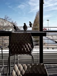 Bird perching against sky