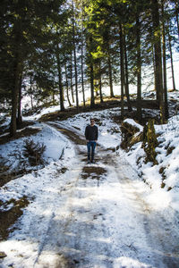 Rear view of person walking on snow covered forest