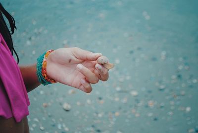 Cropped image of woman holding seashell at beach