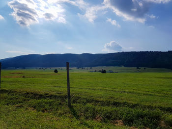 Scenic view of field against sky