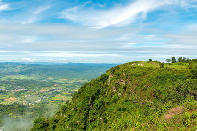 A herd of cattle grazing on the highest point of the mountain.