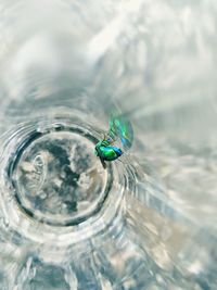 Close-up of water drop on glass