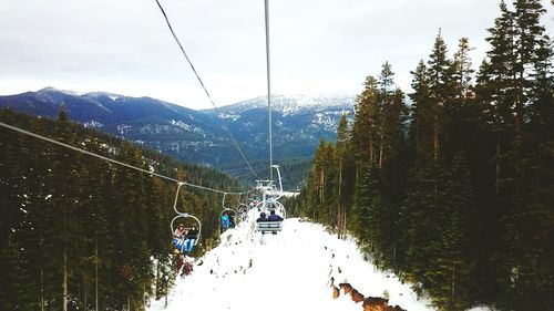 Panoramic view of trees and mountains against sky