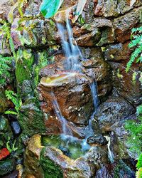 Waterfall in forest