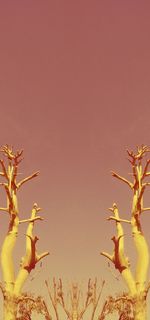 Low angle view of trees against clear sky