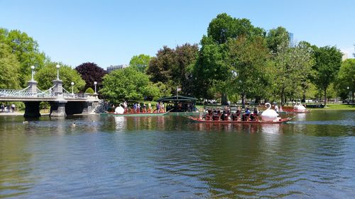 People in water against trees