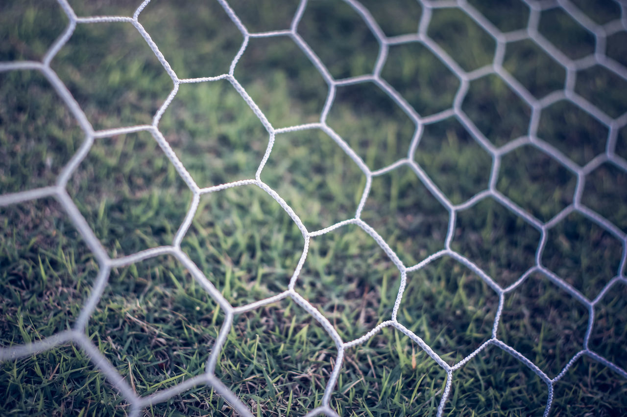 FULL FRAME SHOT OF GREEN NET