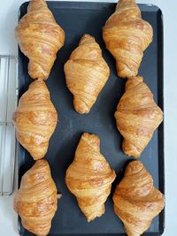 High angle view of pumpkins