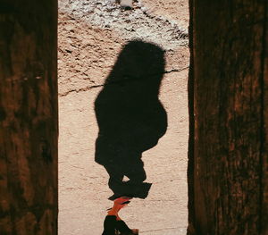 Shadow of people on wall